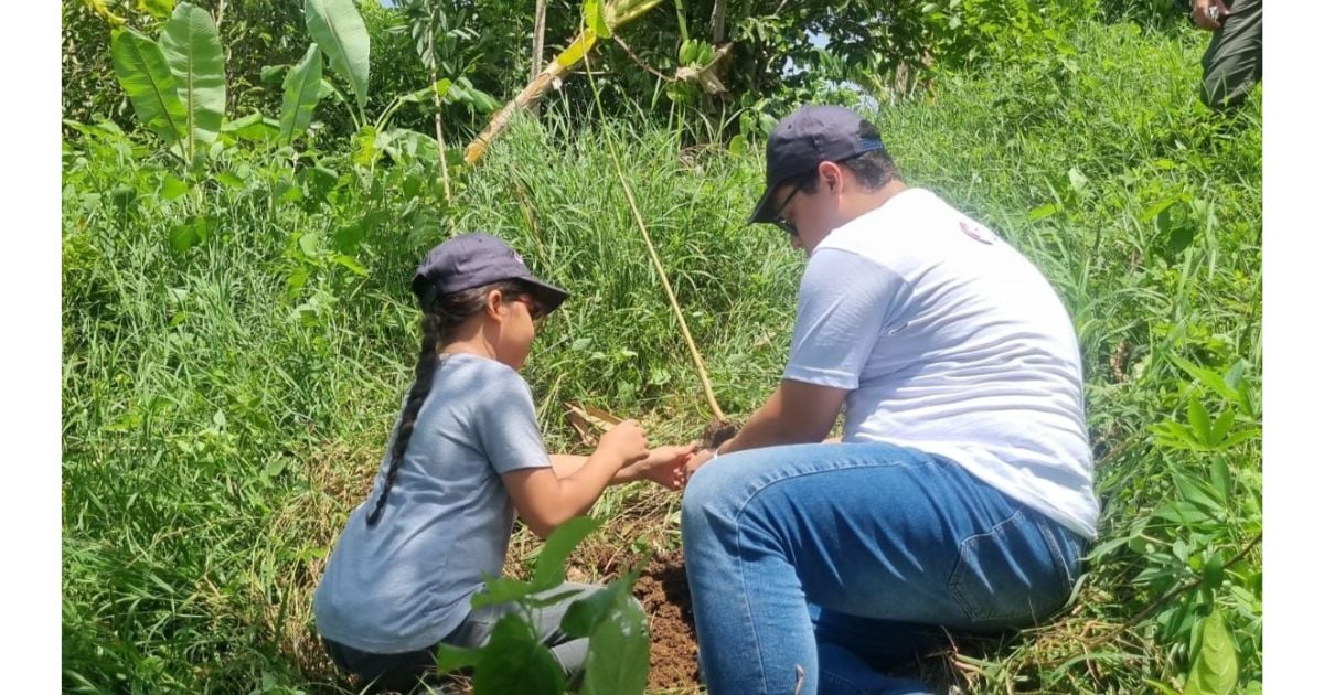 Colfondos promueve su compromiso ambiental con la siembra de 433 árboles y 10 plantas de manglar