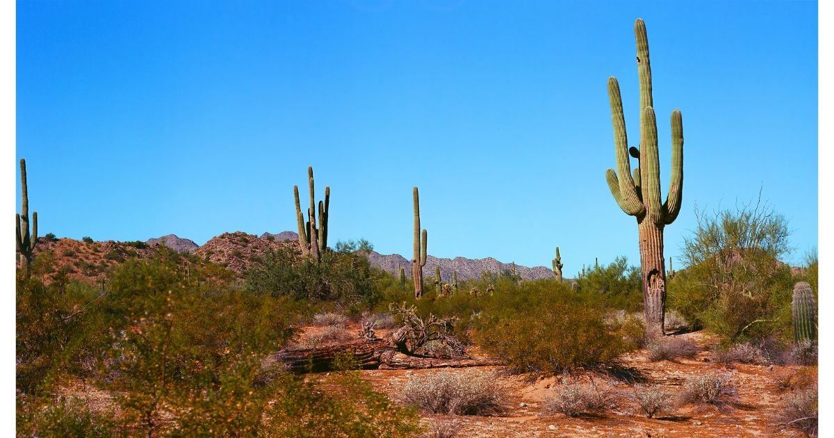 La Guajira y su biodiversidad frente a la COP16 (II)