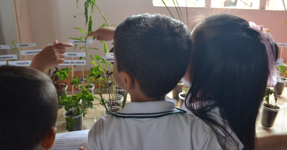 ONG colombiana ganadora del premio Klaus J. Jacobs de Mejor Práctica educativa