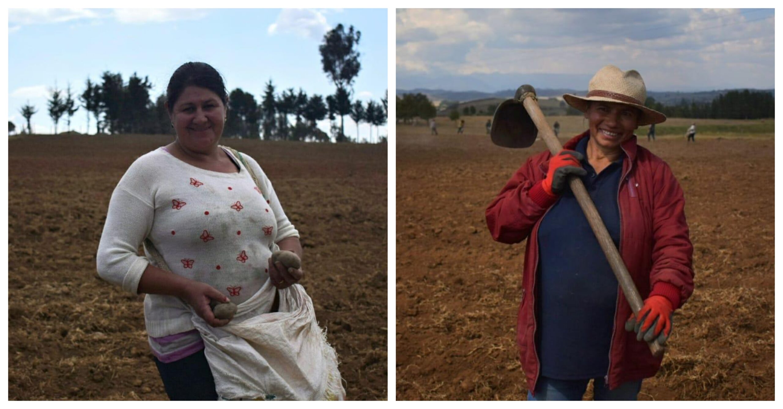 Mujeres, Agua y Reconciliación: el proyecto de inclusión social y económica para mujeres rurales