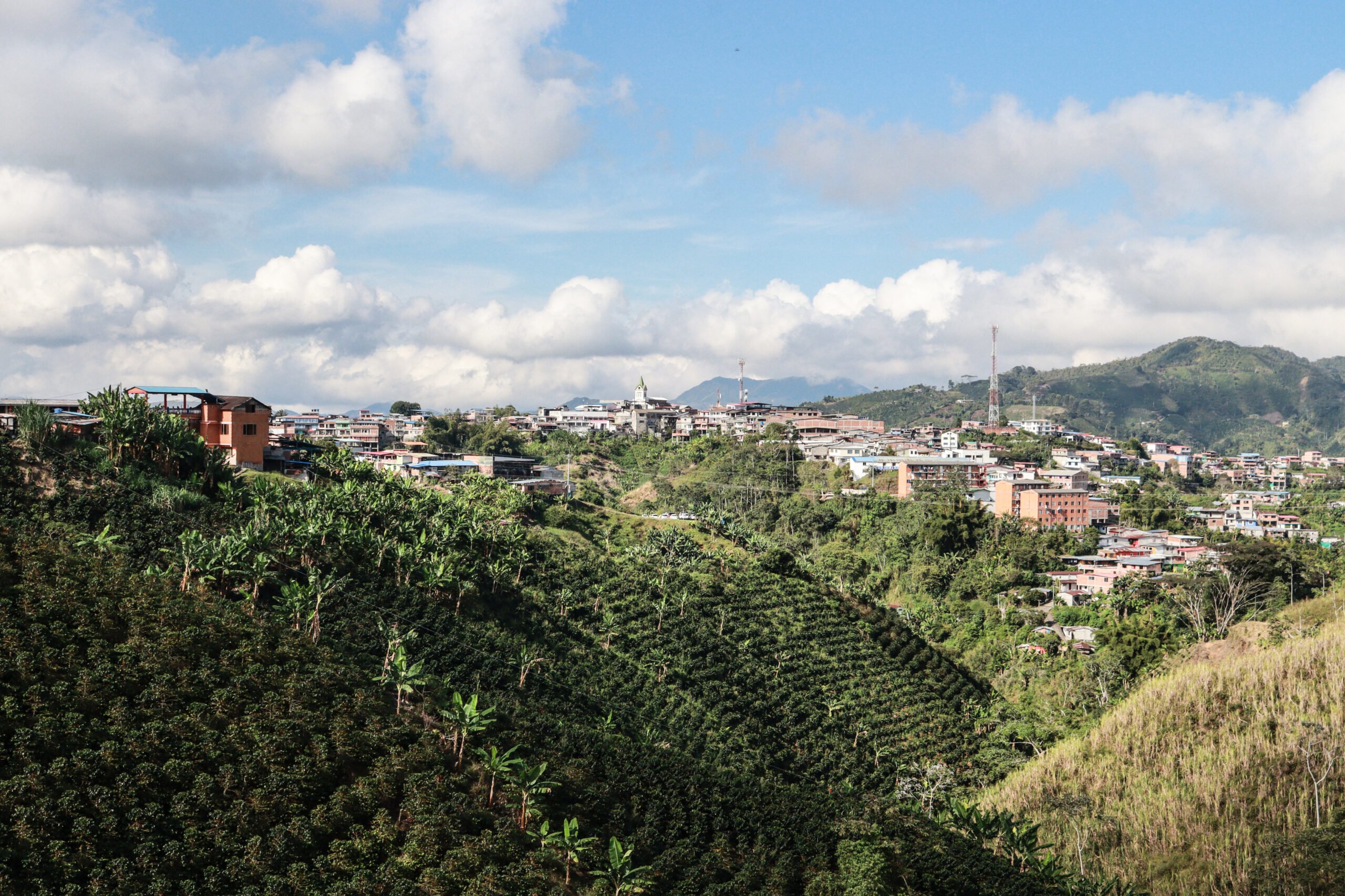 Marquetalia - Caldas - El escondido pueblo de Caldas que es cuna de cafés selectos que se exportan para el mundo