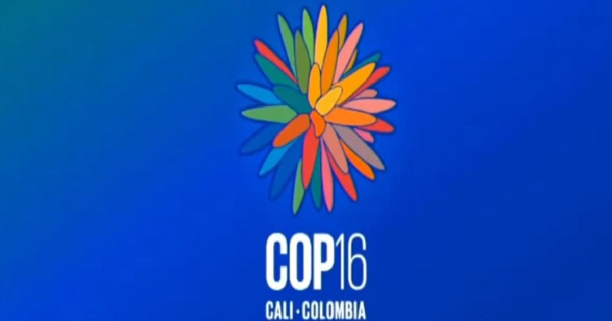 El nuevo embajador de la COP-16