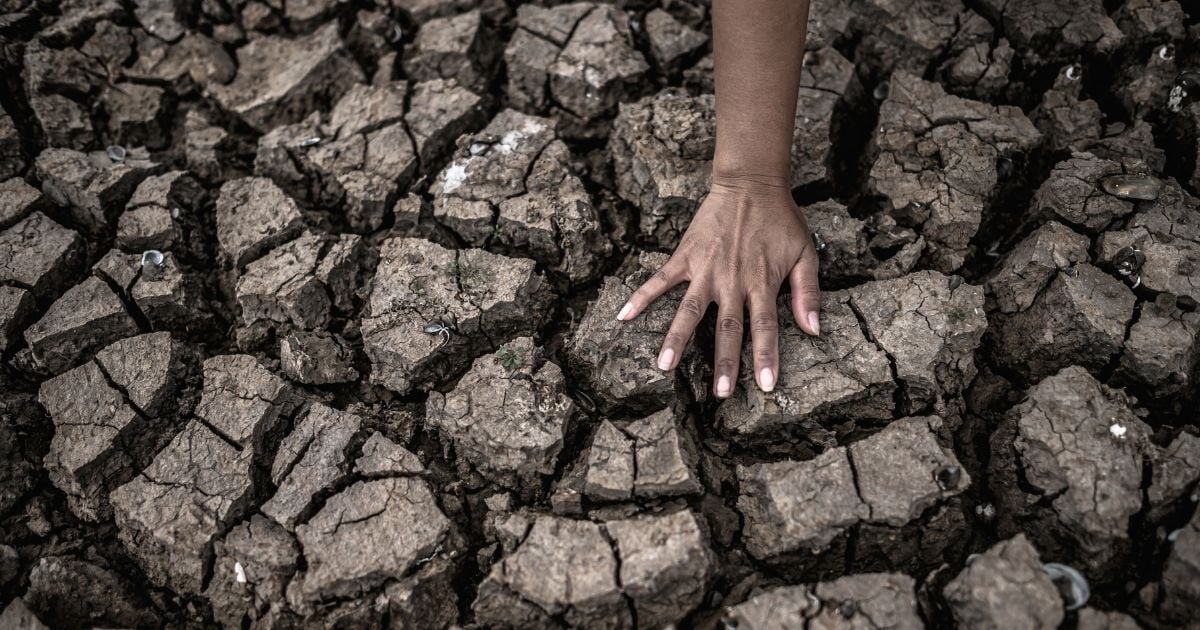 Revertir el daño a la naturaleza podría costar 700.000 millones de dólares al año