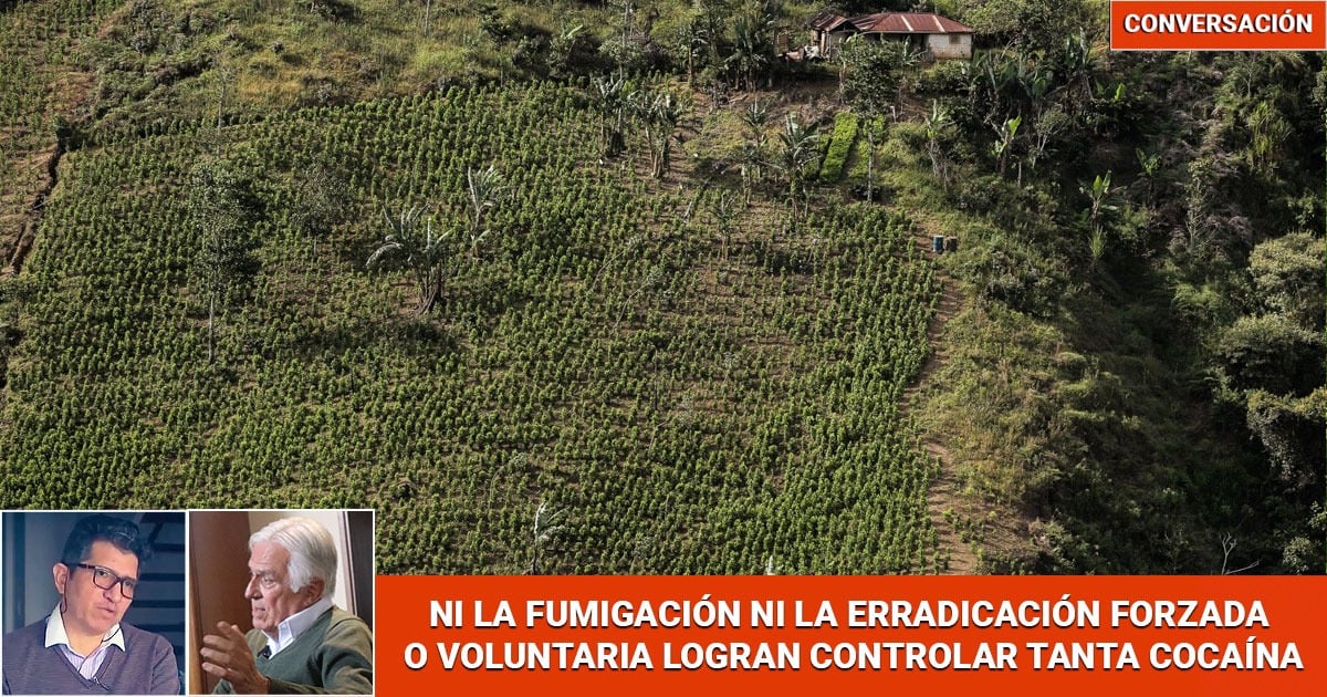 ¿Por qué 12 gobiernos no han podido ganársela a la coca, que cada vez ahoga más al país?