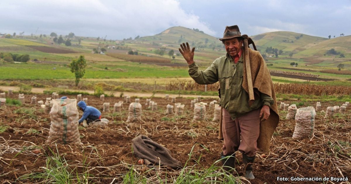 Festival Internacional de la Cultura Campesina, para rendirle homenaje a nuestras raíces boyacenses