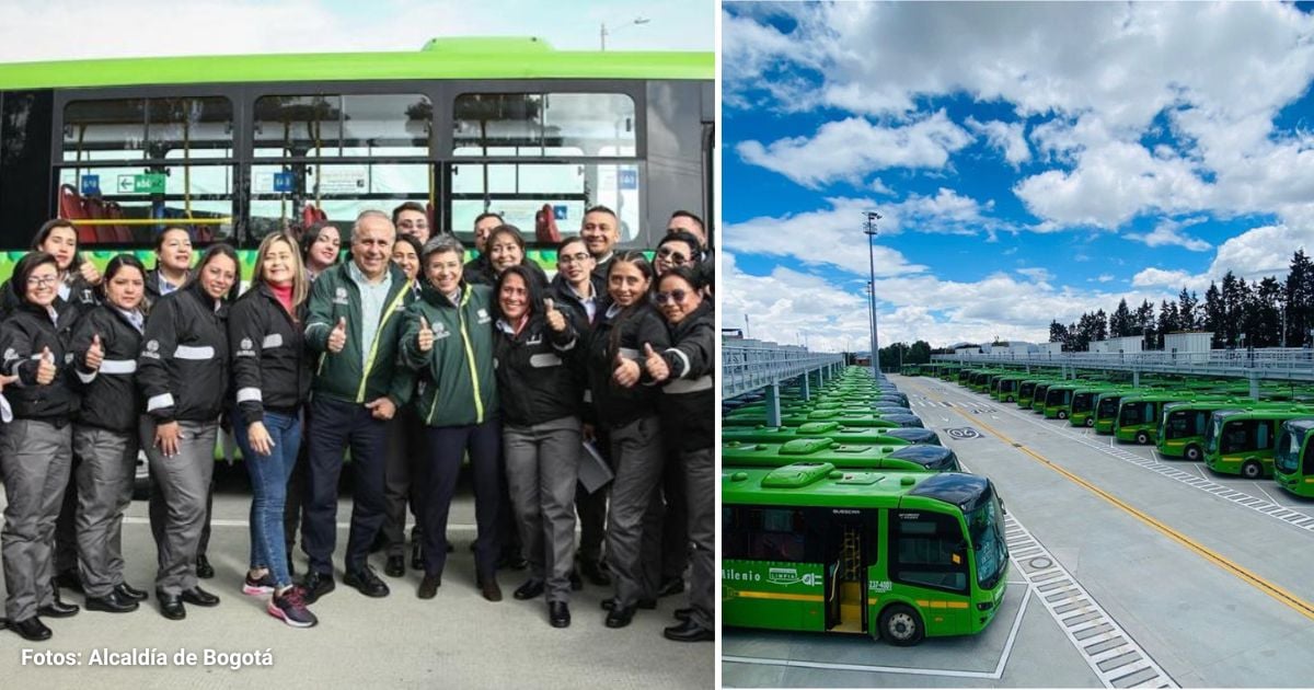 Los abogados de los dueños del transporte en Bogotá que se salieron con la suya y tumbaron La Rolita