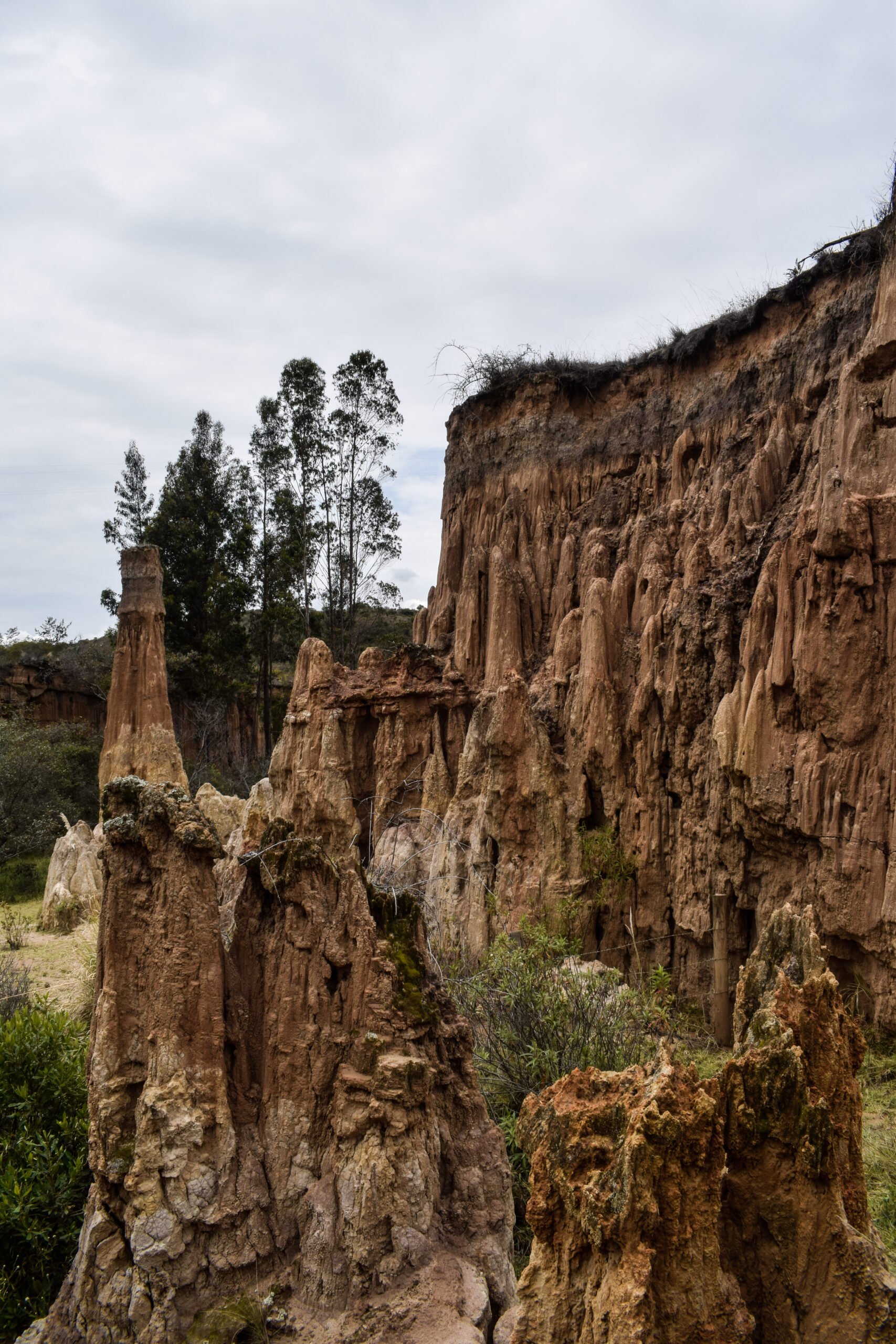  - Tres actividades imperdibles para hacer en Nemocón, el encantador pueblo a 1 hora de Bogotá