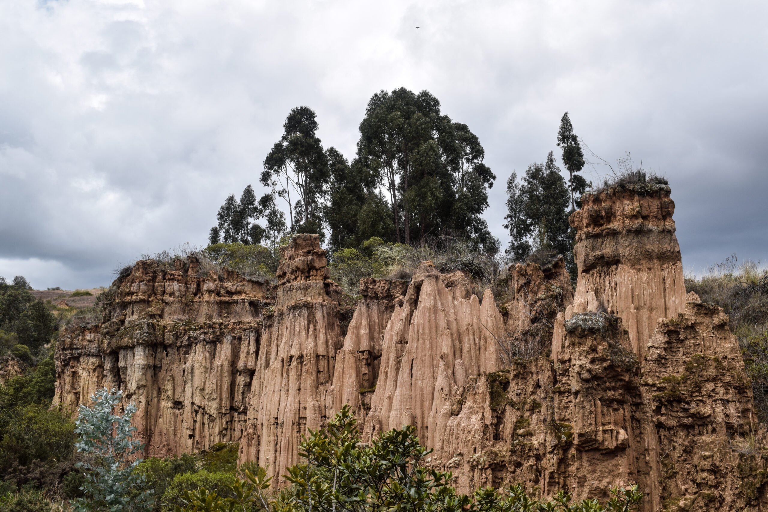  - Tres actividades imperdibles para hacer en Nemocón, el encantador pueblo a 1 hora de Bogotá