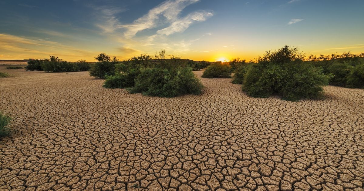 Clima, sequía, supervivencia y poder