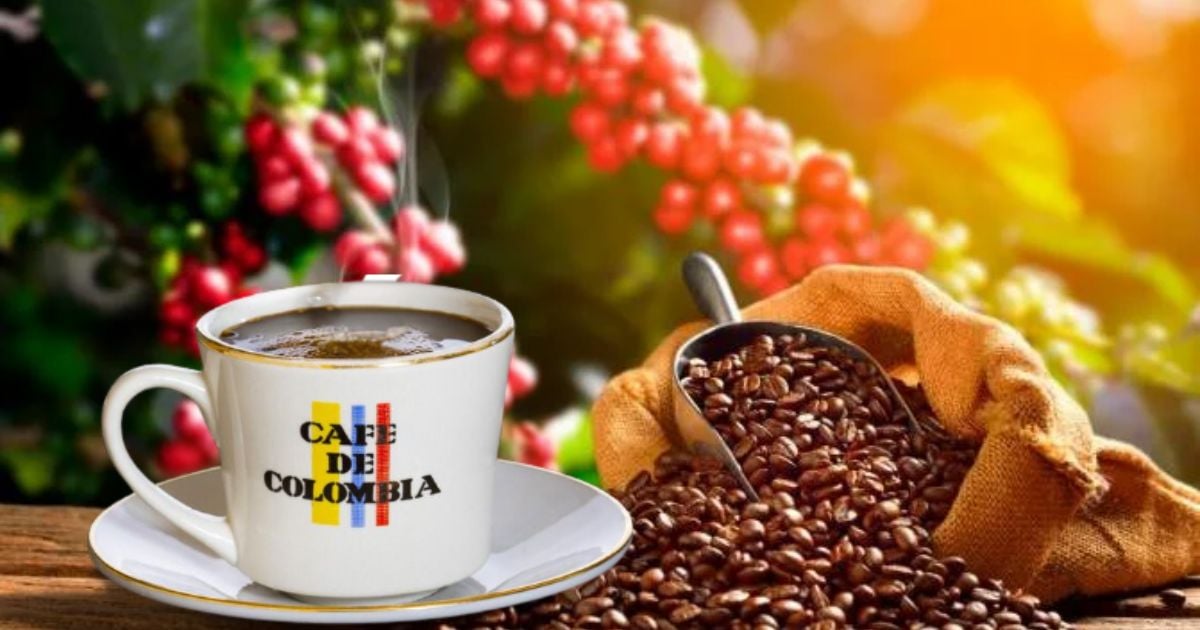 Cuáles cafés que se venden en D1 son 100% colombianos; la cifra entristece