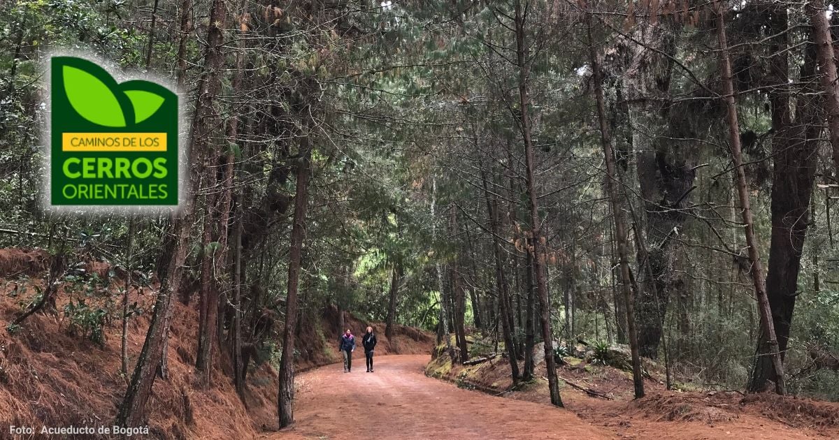 Estos son los pasos para inscribirse a las caminatas del Acueducto en los Cerros Orientales