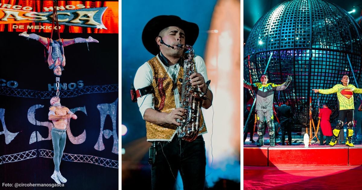 Cuánto cuesta visitar el Circo de los Hermanos Gasca en Bogotá y qué shows puede disfrutar