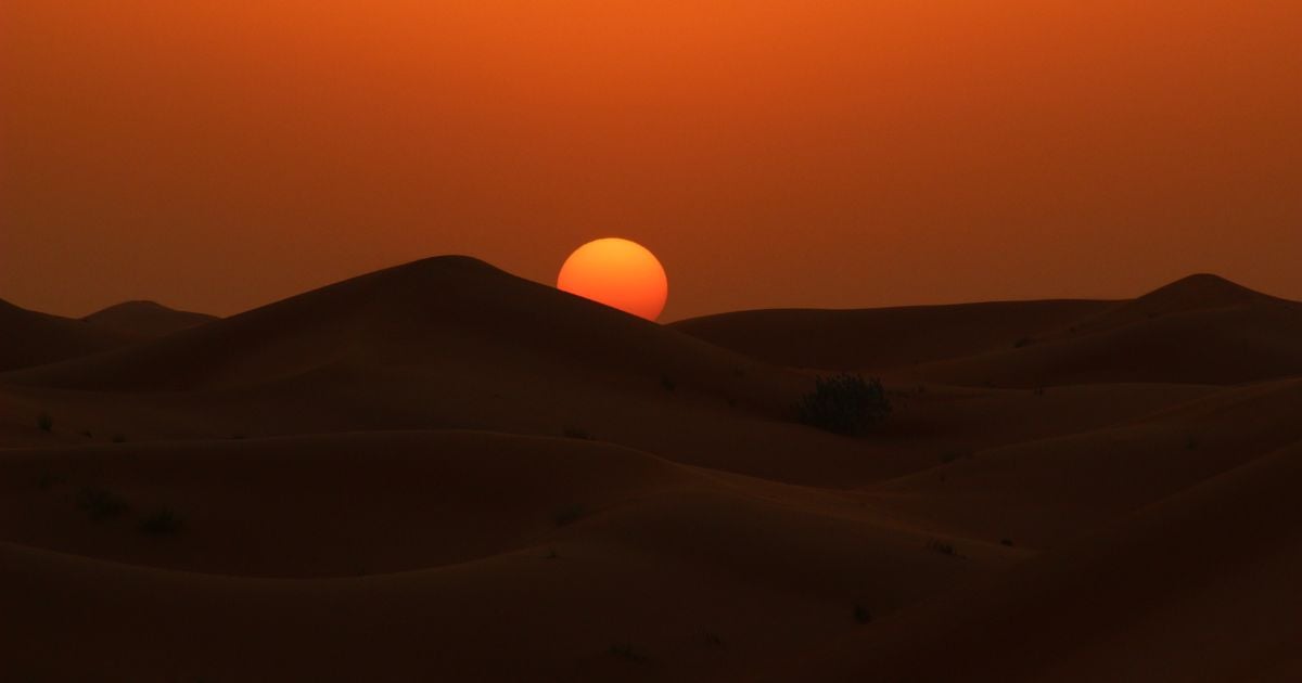 La Guajira y su biodiversidad frente a la COP16