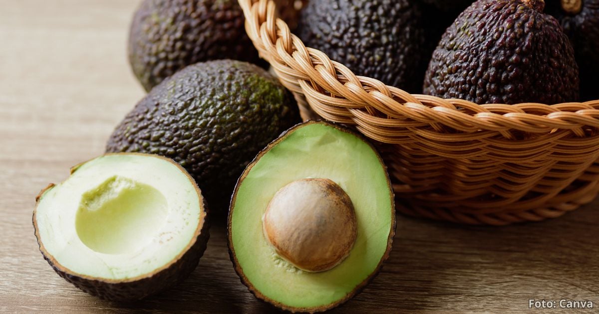 El secreto para madurar sus aguacates verdes en tres minutos; quedan perfectos