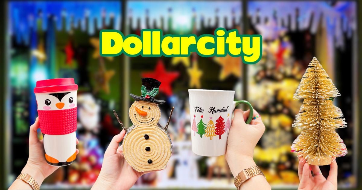 Esos son los productos de Dollarcity versión navidad que no se puede perder