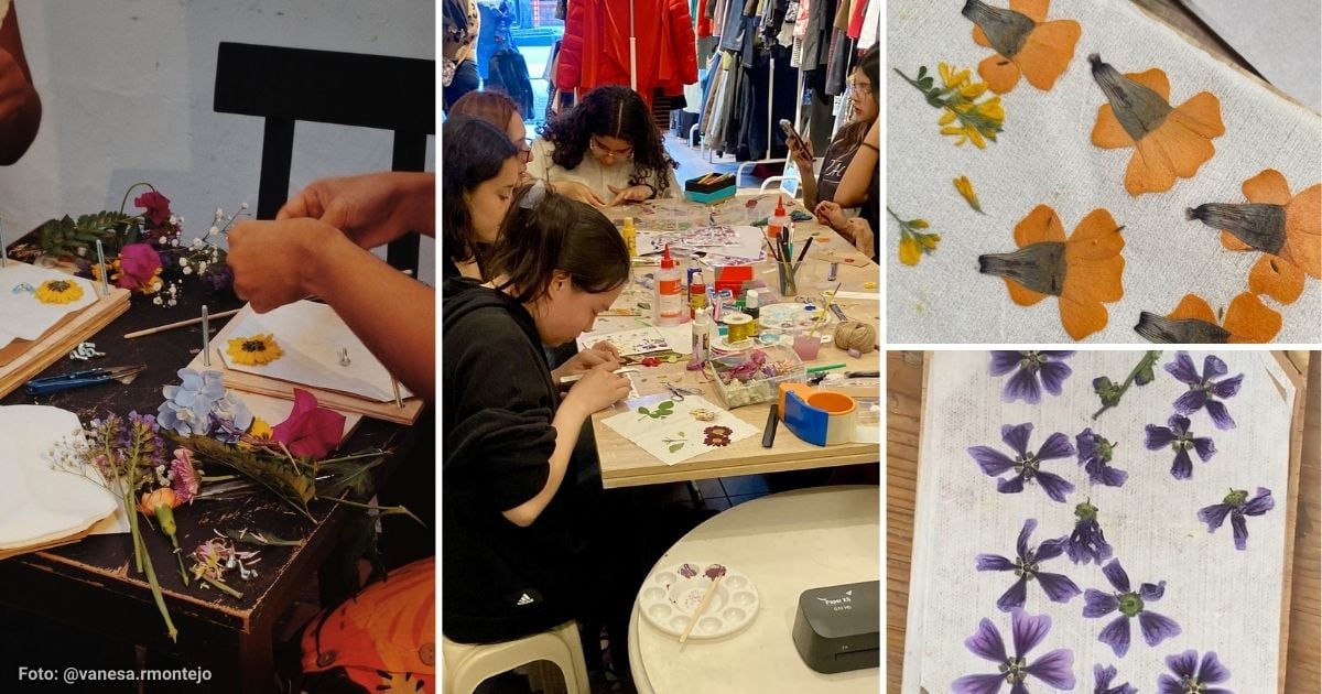 El taller en Bogotá para aprender el arte de conservar flores desde $50 mil