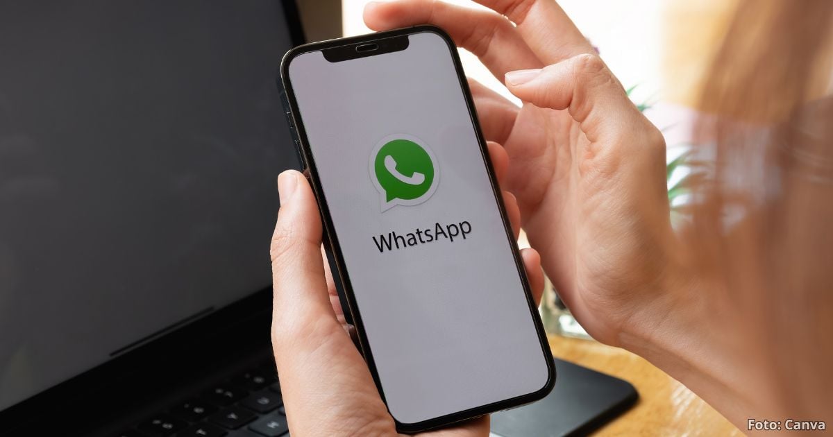 ‘papelera’ de Whatsapp - La supuesta ‘papelera’ de Whatsapp donde se almacenan temporalmente algunas cosas eliminadas