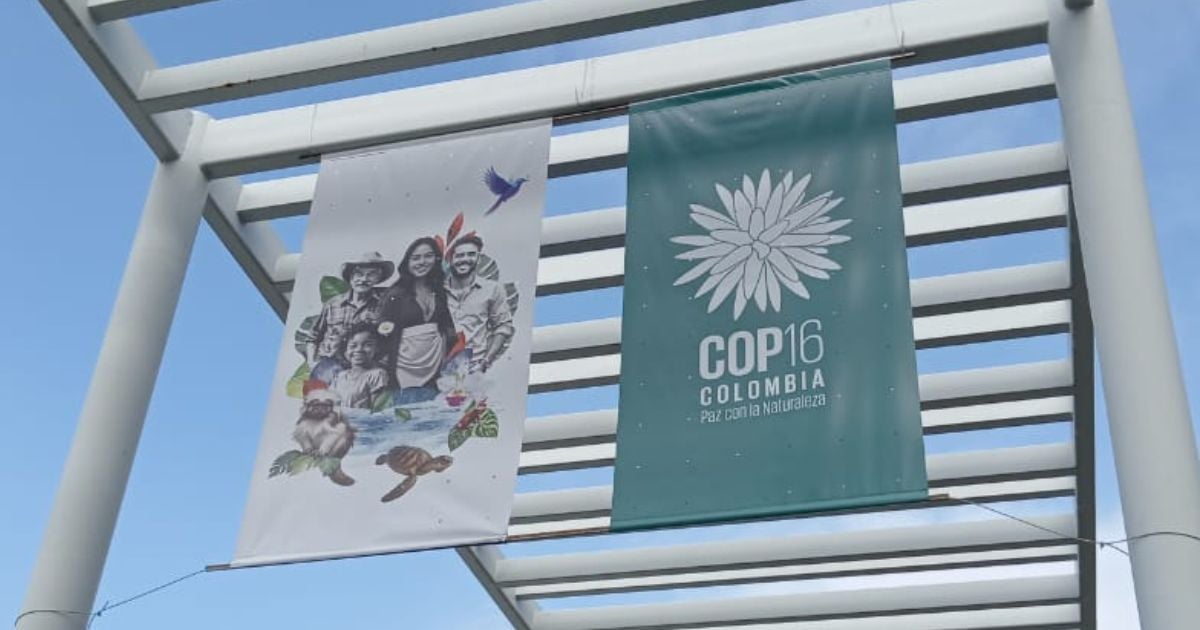 COP16: exitismo colombiano y negacionismo internacional