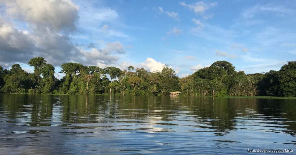 Lago Tarapoto - Así es el impresionante Lago Tarapoto, el primer humedal del Amazonas donde puede bañarse