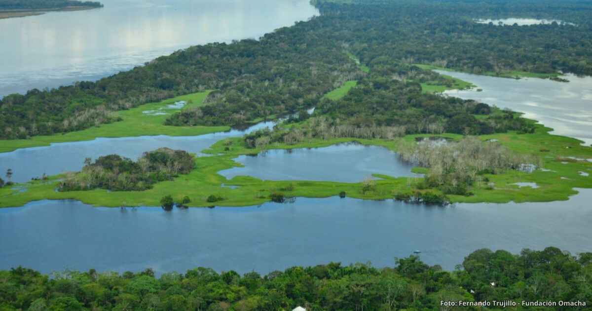 Lago Tarapoto - Así es el impresionante Lago Tarapoto, el primer humedal del Amazonas donde puede bañarse