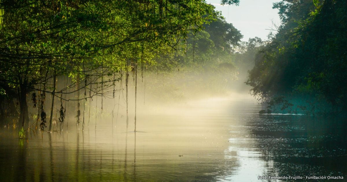 Así es el impresionante Lago Tarapoto, el primer humedal del Amazonas donde puede bañarse