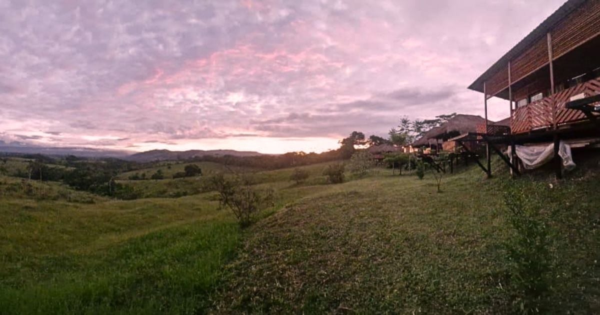 Mesetas - La tienda en Mesetas que lleva abierta 45 años y logró sobrevivir en el antiguo territorio de las Farc