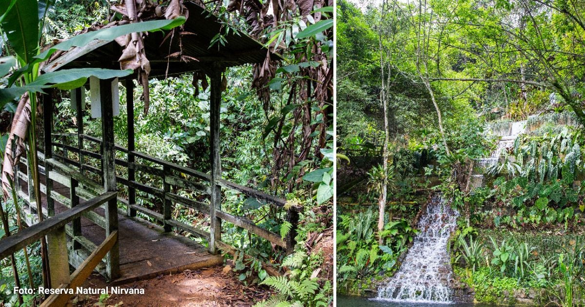 Nirvana, la bella reserva natural en el Valle del Cauca para caminar y conectarse con la naturaleza