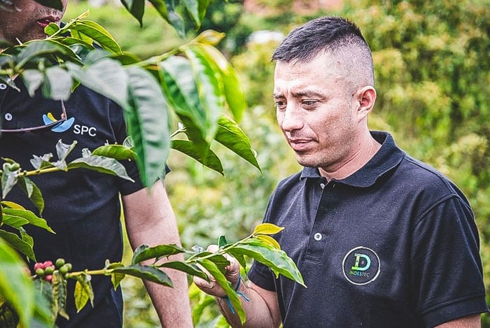  - El chino experto en café que lleva 20 años poniendo a los chinos a tomar tinto colombiano