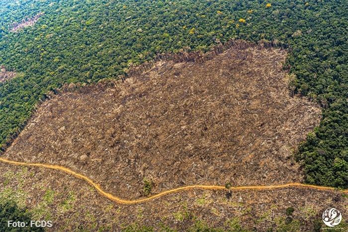  - Cómo se logró Marindo, la segunda base gringa que autorizó Petro después de Gorgona