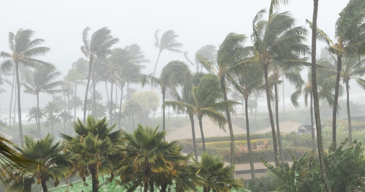 La nueva tormenta tropical que azota el caribe y tiene en vilo a la costa colombiana; se volvería ciclón