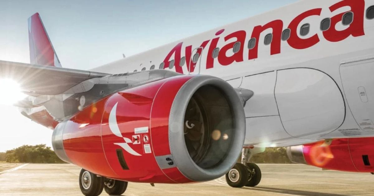 Avianca está buscando estudiantes y profesionales para contratar, y así puede postularse