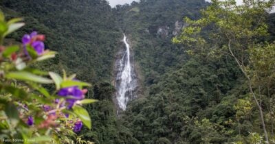 Cascada La Plata - Así puede conocer las cascada más alta del Tolima; un paraíso con una caída de más de 400 metros - EN VIVO🔴: Las2orillas.co: Historias, voces y noticias de Colombia