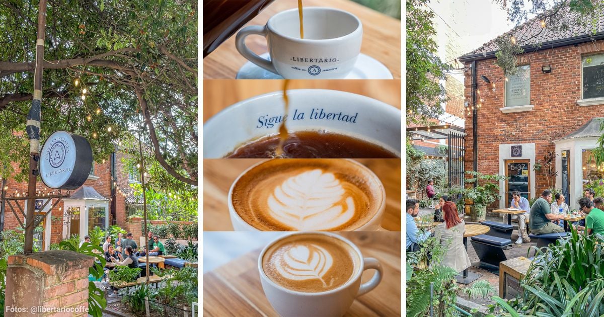 El café en Bogotá para disfrutar de un ambiente natural y probar ricas bebidas