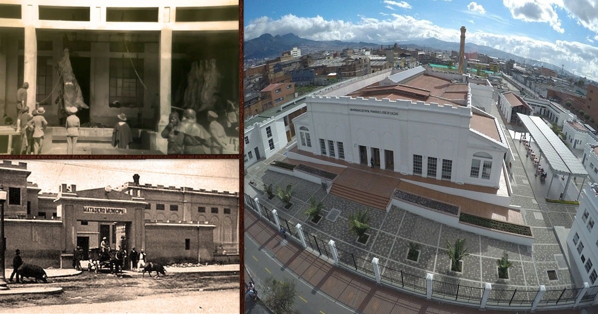 Cuando la Biblioteca de la Universidad Distrital era el matadero más importante de Bogotá