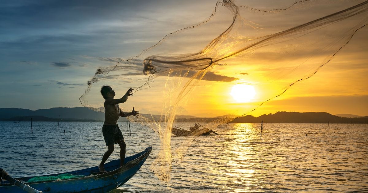 ABC sobre nuevo proyecto de Ley sobre pesca de turismo: ¿qué hay que saber?