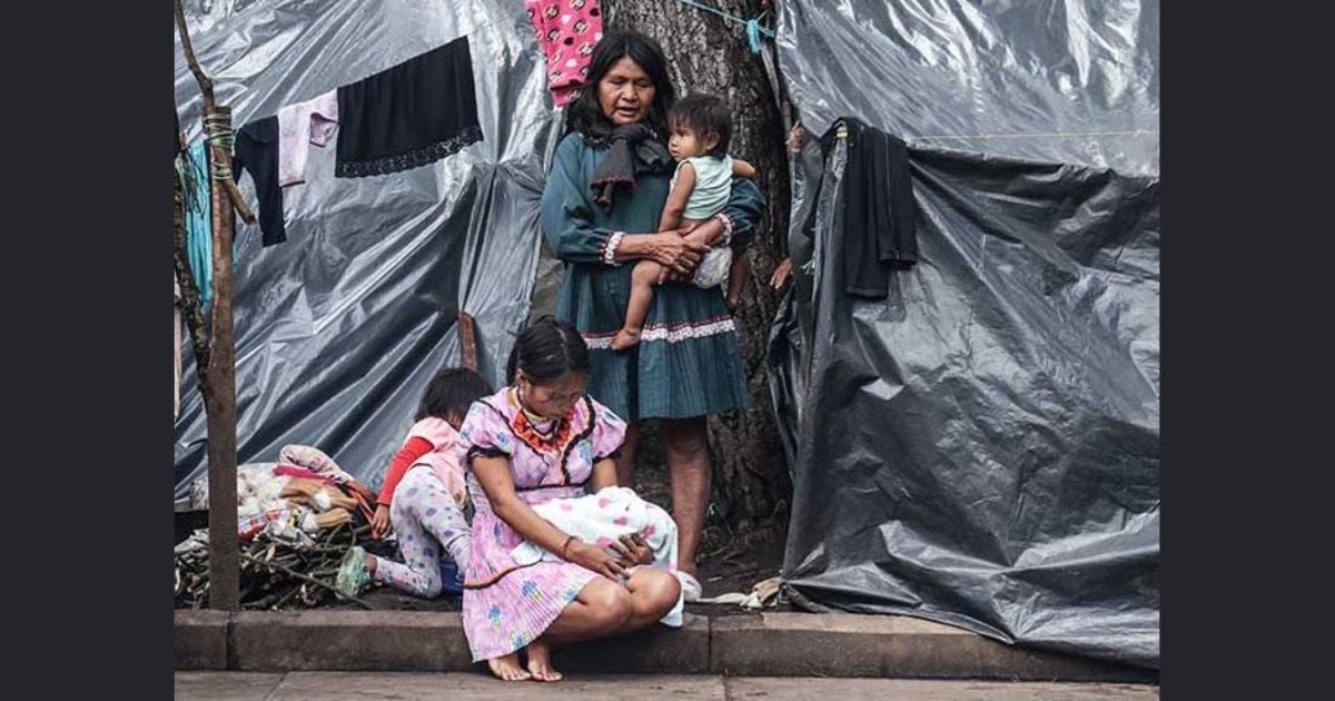 Y los embera volverán a Bogotá y al Parque Nacional: una propuesta para el cambio