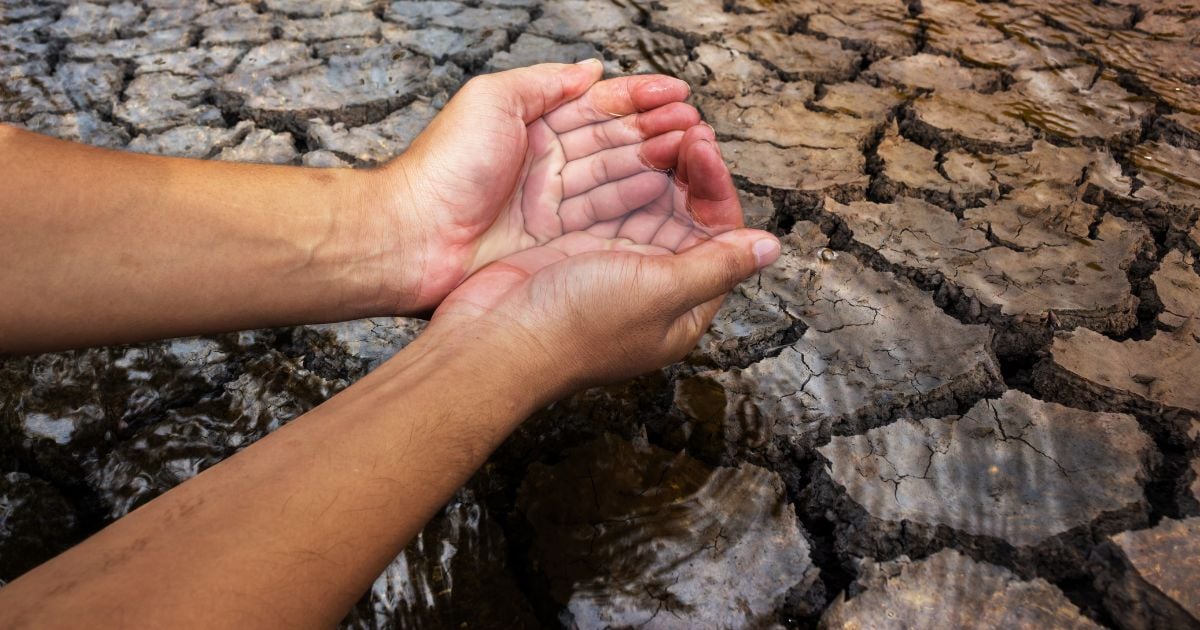 Por esta razón la escasez de agua no se puede solucionar quitándole la sal al mar