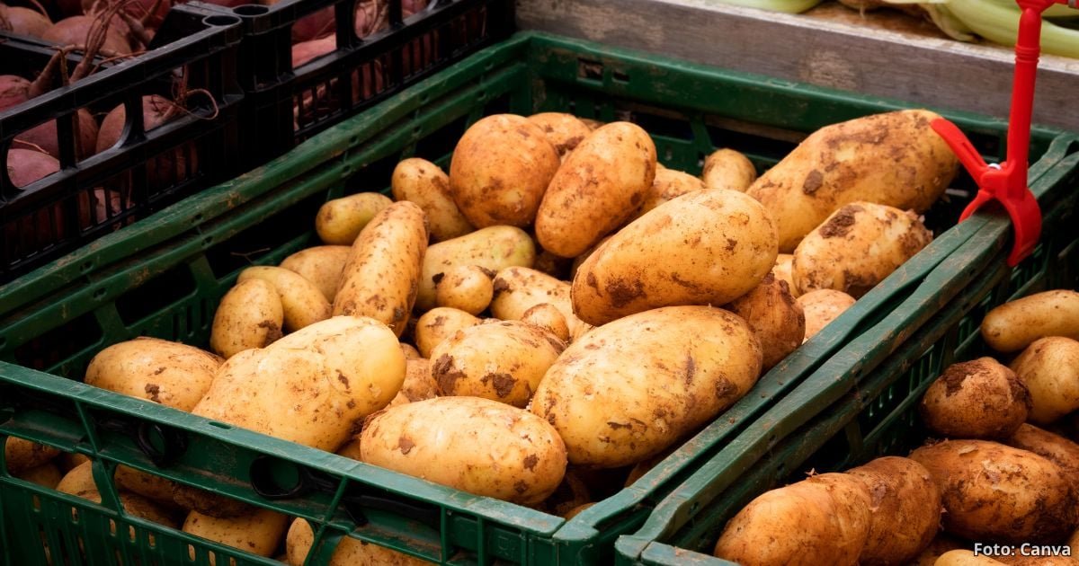 Los alimentos básicos de la canasta familiar que bajaron de precio; le sirven para la cena navideña