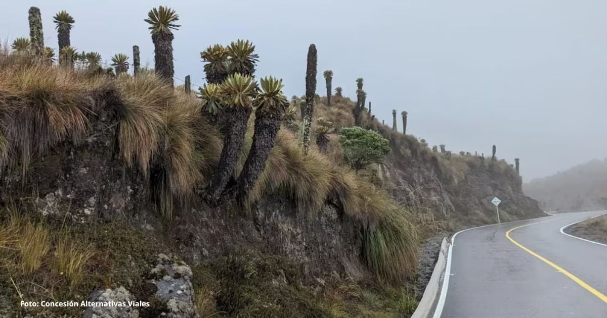 Esta ruta desde Bogotá a Manizales le permitirá conocer paisajes únicos y llamativos - La ruta para viajar desde Bogotá a Manizales conociendo el Nevado del Ruiz y un páramo de ensueño