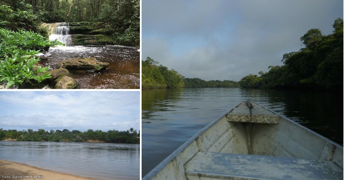 Las maravillas naturales que sí o sí debe visitar en Vaupés; ríos, reservas, caños y más 