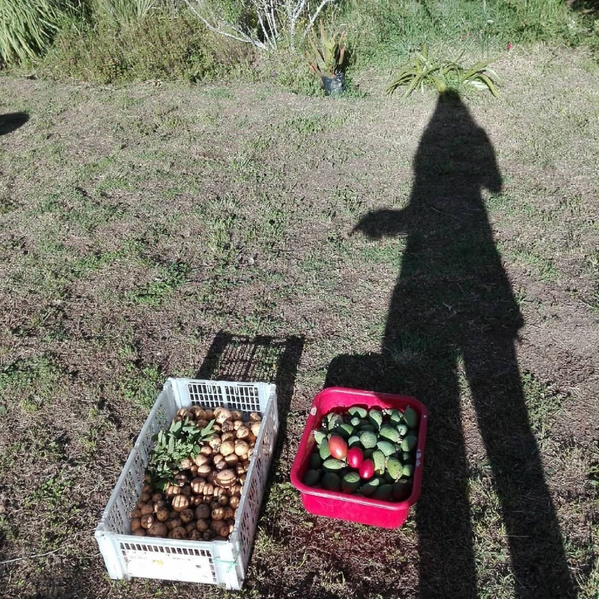 La finca en Ubate donde Sandra Reyes pasó sus últimos años - El lugar donde Sandra Reyes pasó sus últimos años; en una tranquila finca donde será su velorio