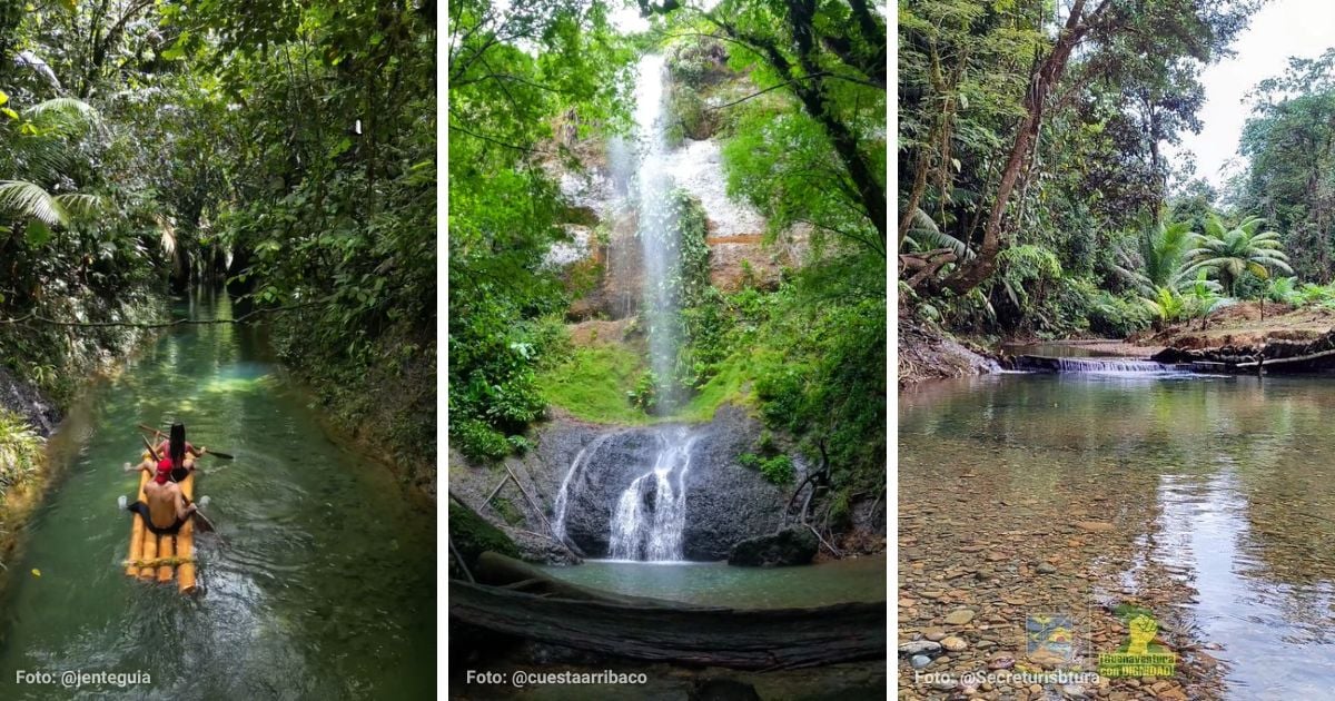 Así es la vereda en Buenaventura perfecta para disfrutar de cascadas y aguas cristalinas