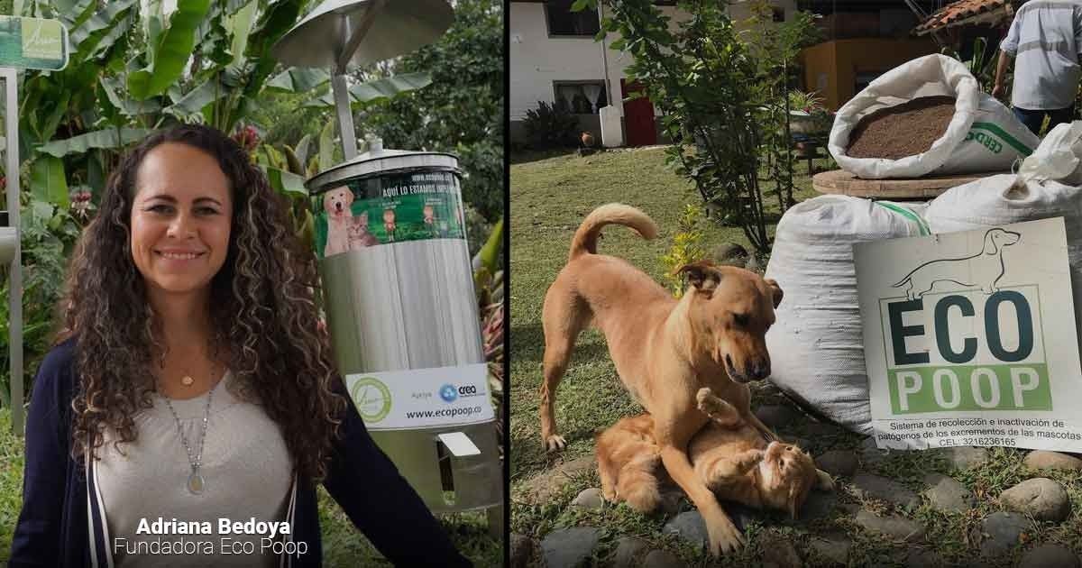 La empresa que vive de convertir los excrementos de las mascotas en abono y otros componentes