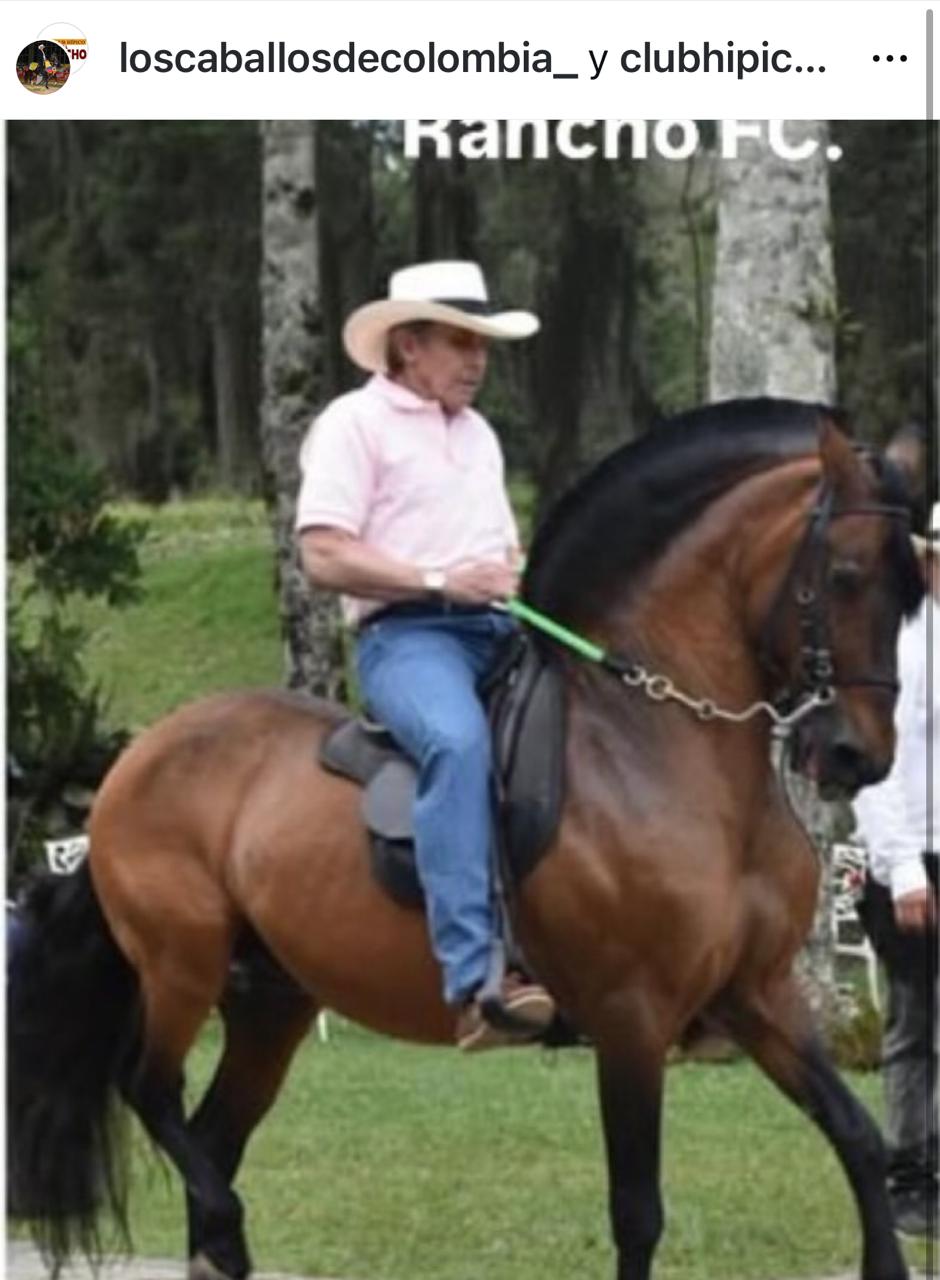 Fabio Ochoa - Montando caballos finos en Medellín, así pasa sus días el excapo Fabio Ochoa