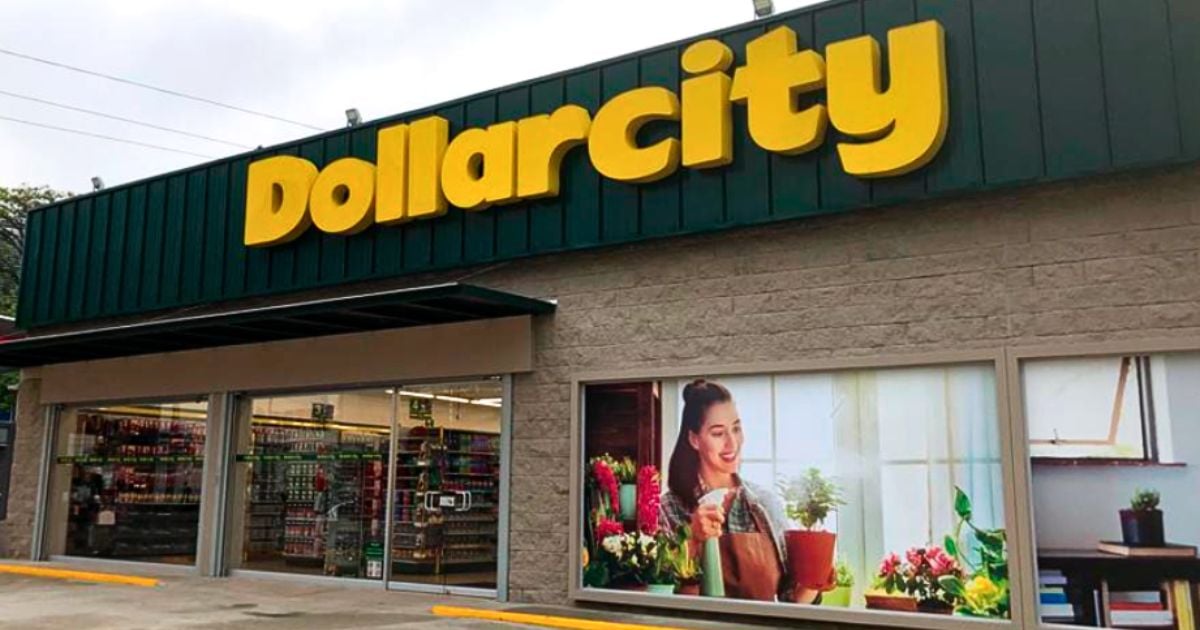 Los 5 nuevos productos de Dollarcity que llegaron este año; son baratos y útiles para el hogar