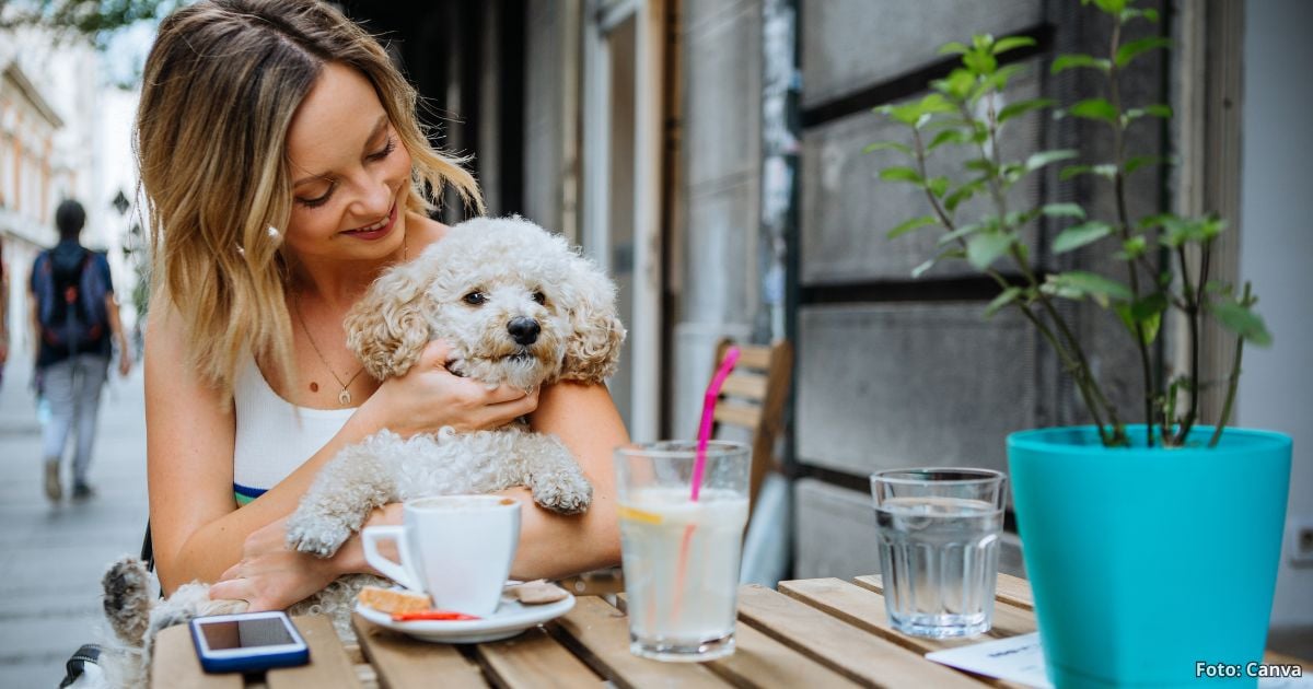 Cinco restaurantes pet friendly en Bogotá para pasar un rato agradable con su mascota