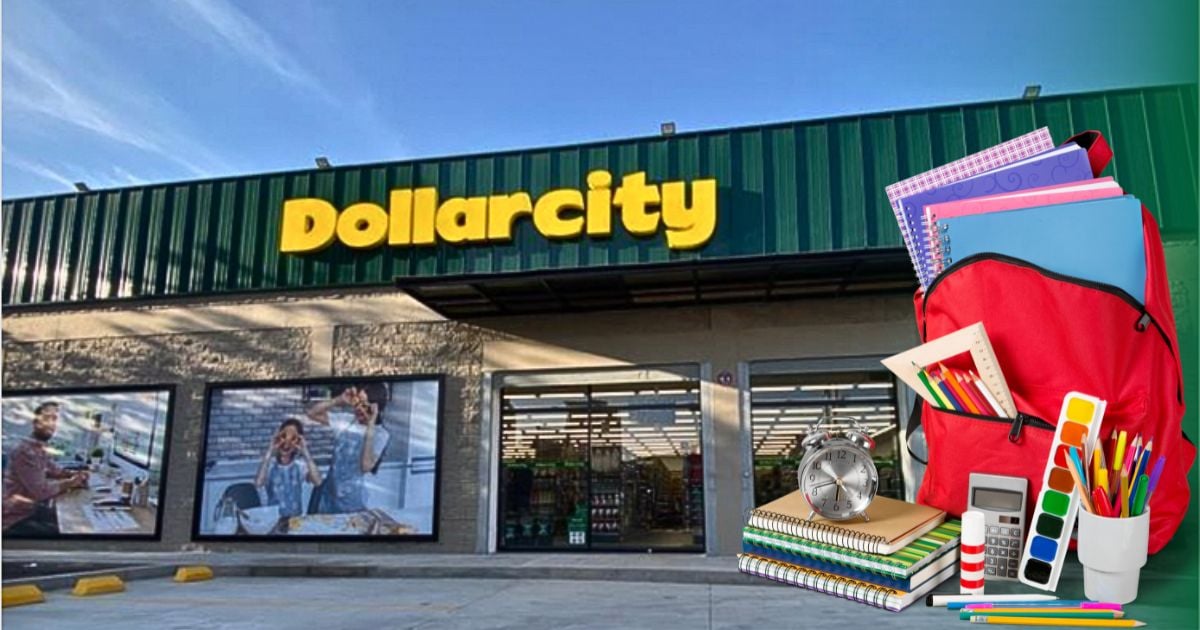 Los útiles escolares buenos, bonitos y baratos de Dollarcity que van desde los $3 mil