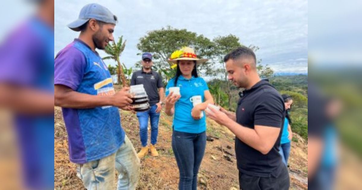 En Polecito, Tolima, jóvenes cafeteros conquistan las montañas de Colombia con café de especialidad