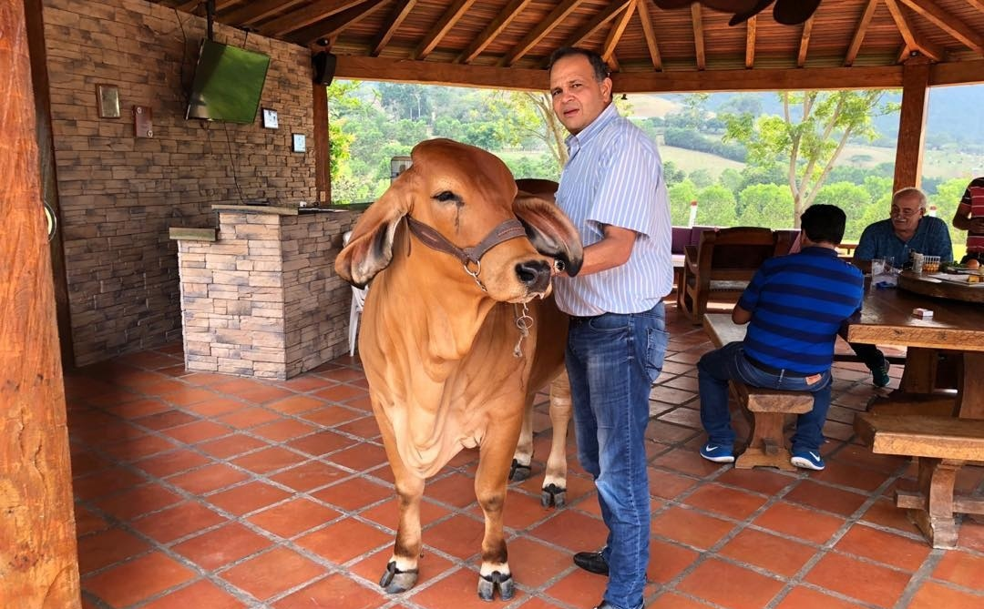 Jorge 40 Hugues Rodríguez Fuentes - El oscuro ganadero, amigo de Jorge 40, que se niega a soltar la finca que Petro les entregó a campesinos